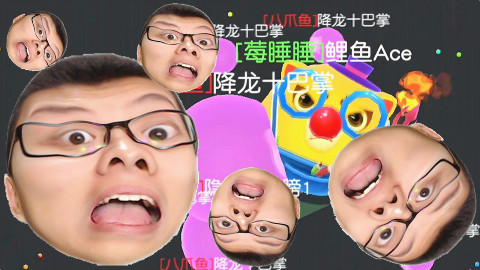 球球世界 鲤鱼Ace解说